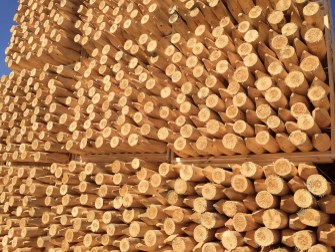 Timber fencing - timber_cundy_peeled_poles