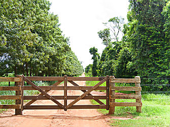 Timber fencing - timber_gate_posts