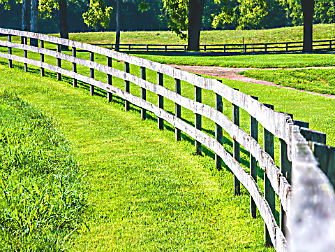 Timber fencing - timber_rails